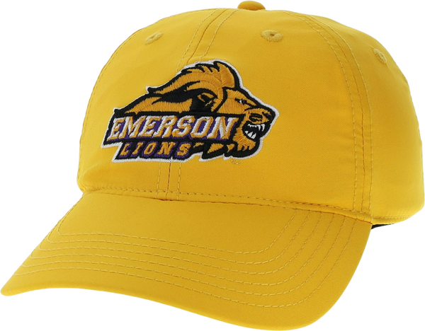 Cool Fit Adjustable Cap