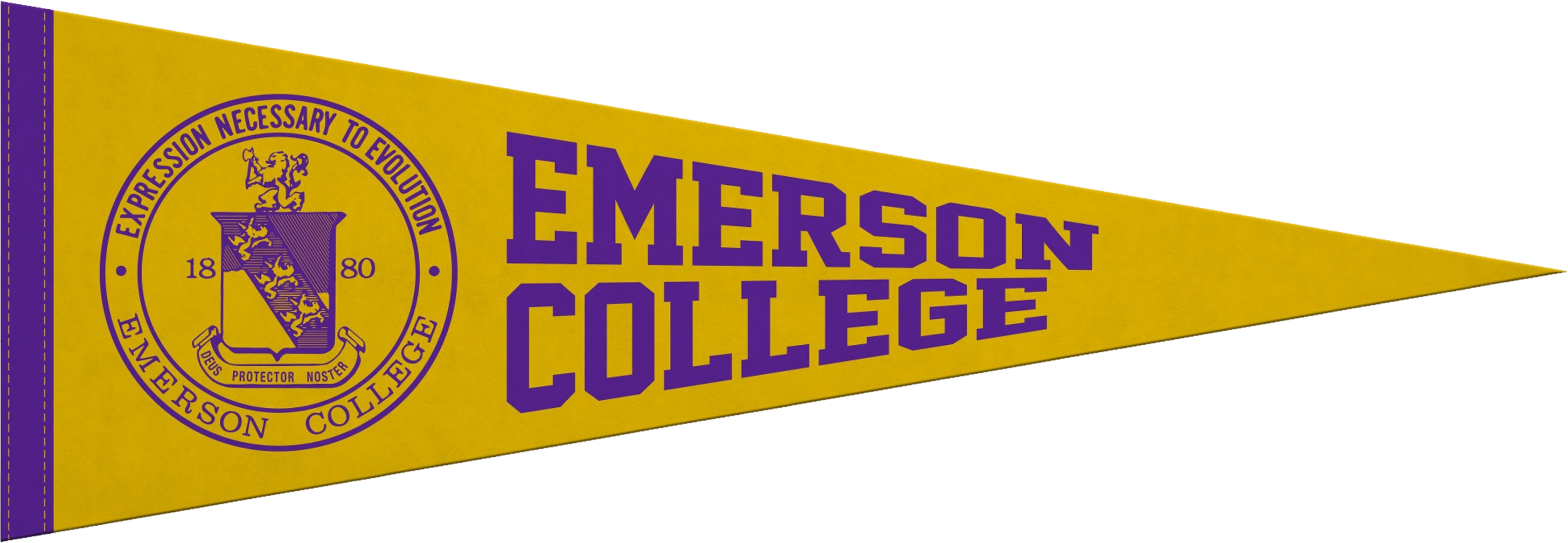 5" x 15" Pennant
