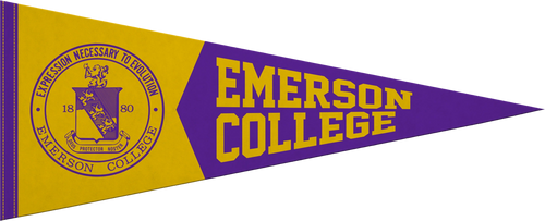 12" x 30" Pennant